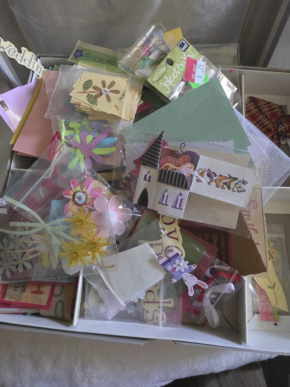 Mixed Craft Storage Kit - Assorted Cardstock & Embellishments